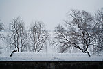 颐和园雪景