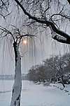 昆明湖的晴雪