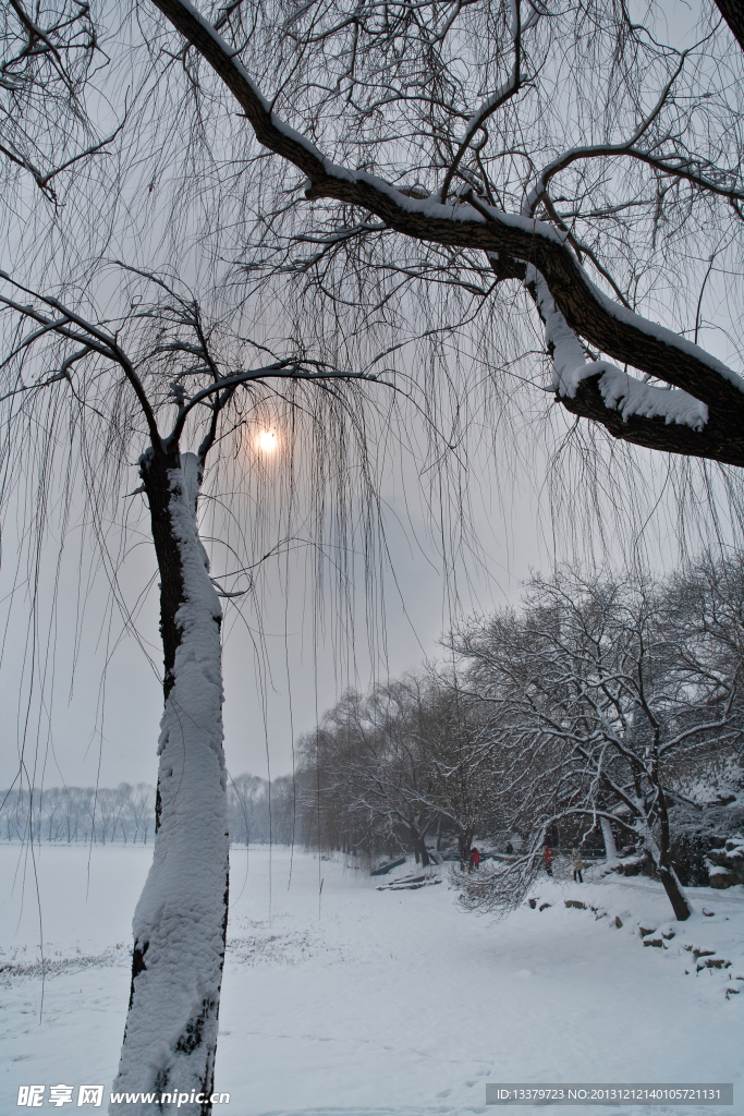 昆明湖的晴雪