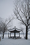 颐和园雪景