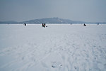 昆明湖雪景