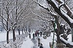颐和园西堤雪景