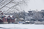 颐和园雪景