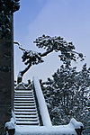 颐和园雪景