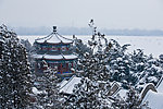 画中游的雪