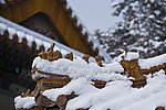 雪中琉璃屋脊