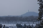 玉泉山