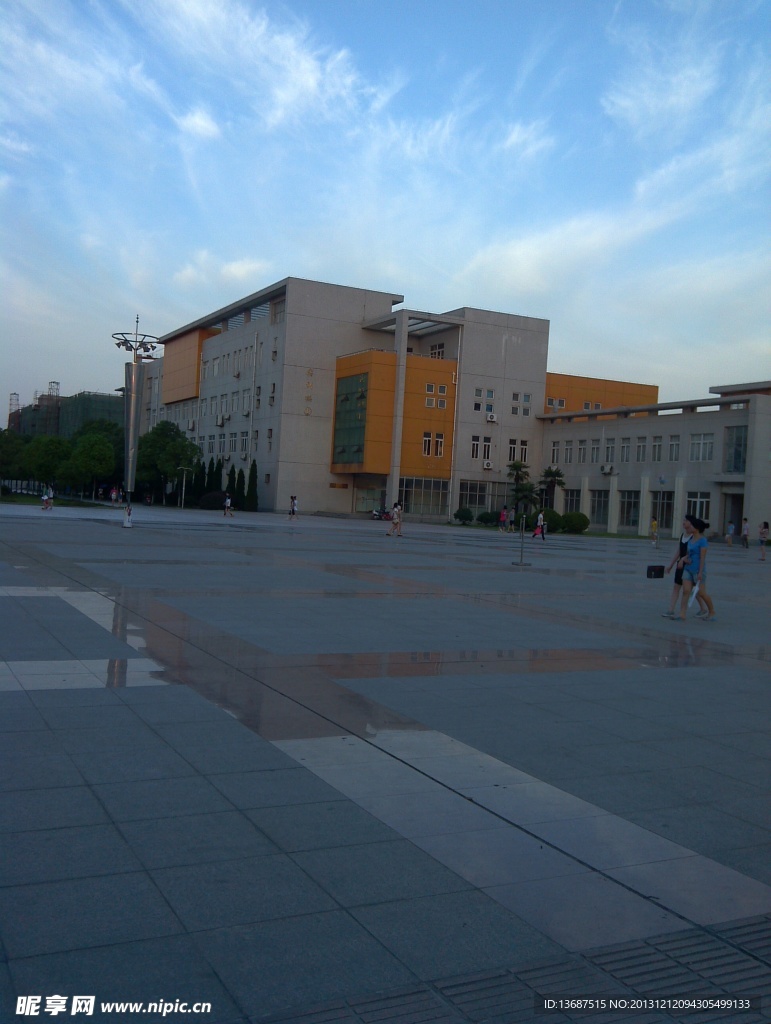 大学