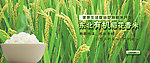 大米 淘宝