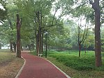 漳平榉子公园