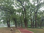 漳平榉子洲公园