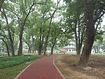 漳平榉子洲公园