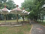 漳平榉子洲公园