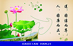 莲花