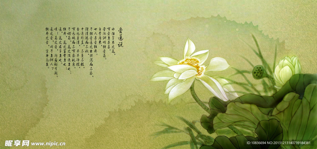 莲花摄影模板