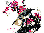 喜鹊梅花