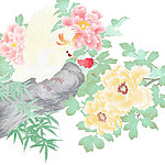 富贵鹦鹉 分层文件