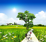 田园美景