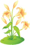 手绘百合