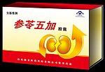 参苓五加胶囊包装 （平面图）