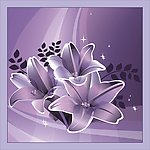 百合花