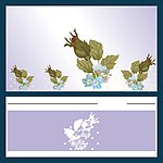 蔷薇花