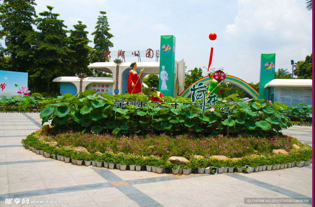 莲花节