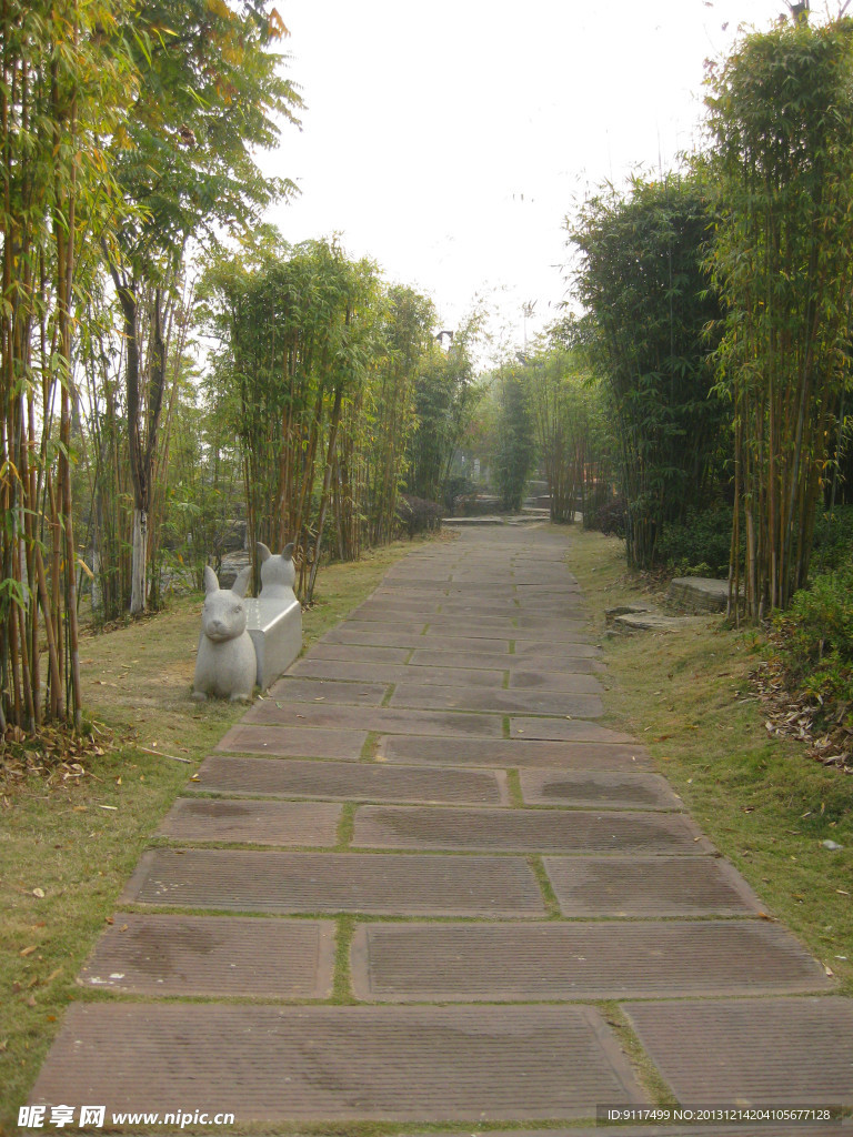 石道贯竹林