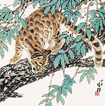 金钱豹