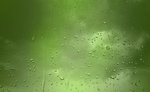 水珠