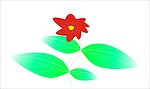 花素材