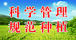 种植展板