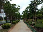 厦门绿化