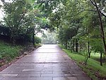 漳平东山公园