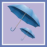 雨伞