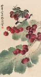 家乡杨梅甜