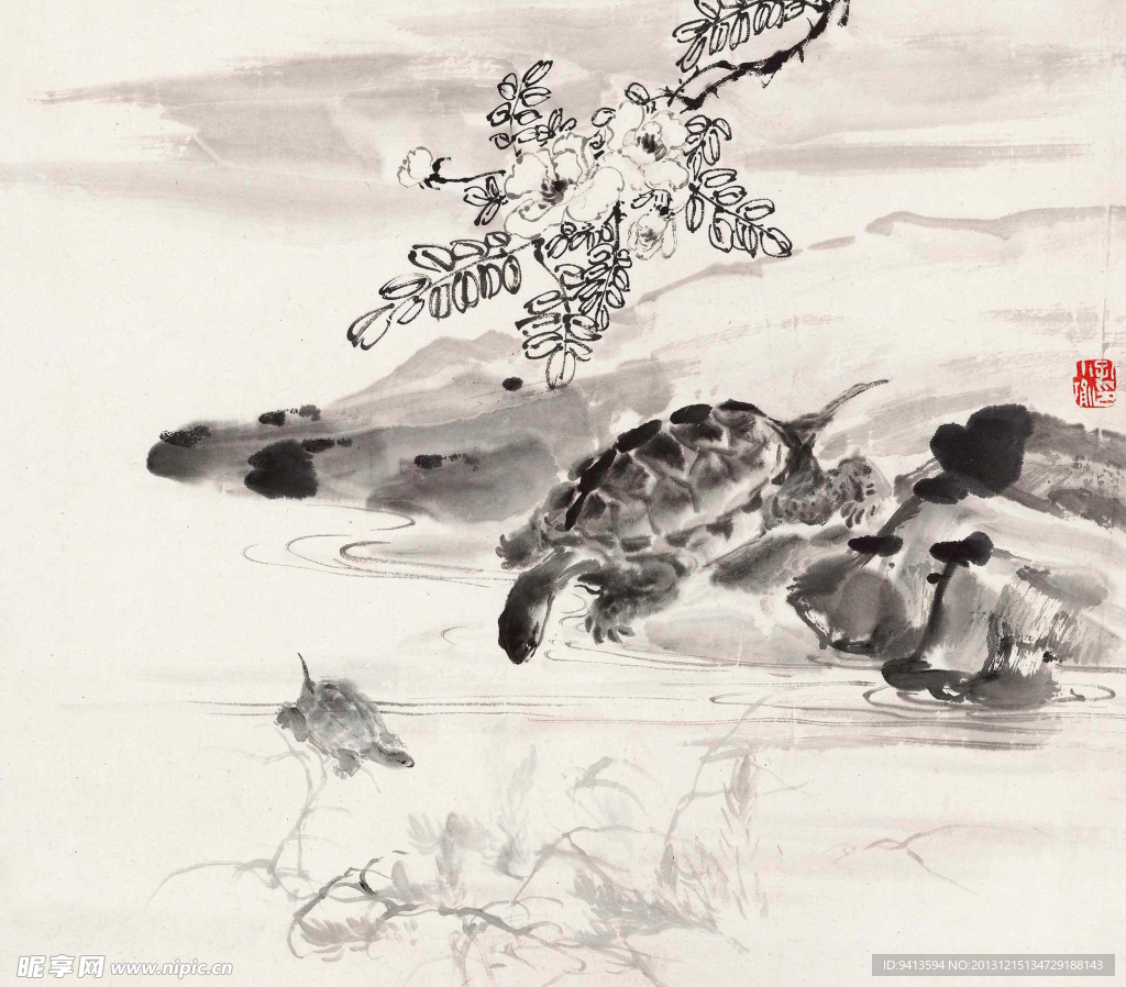 乌龟