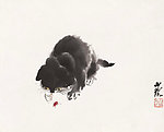 专注