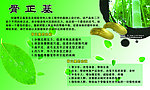 权健骨正基