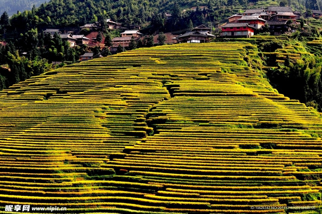 梯田风景
