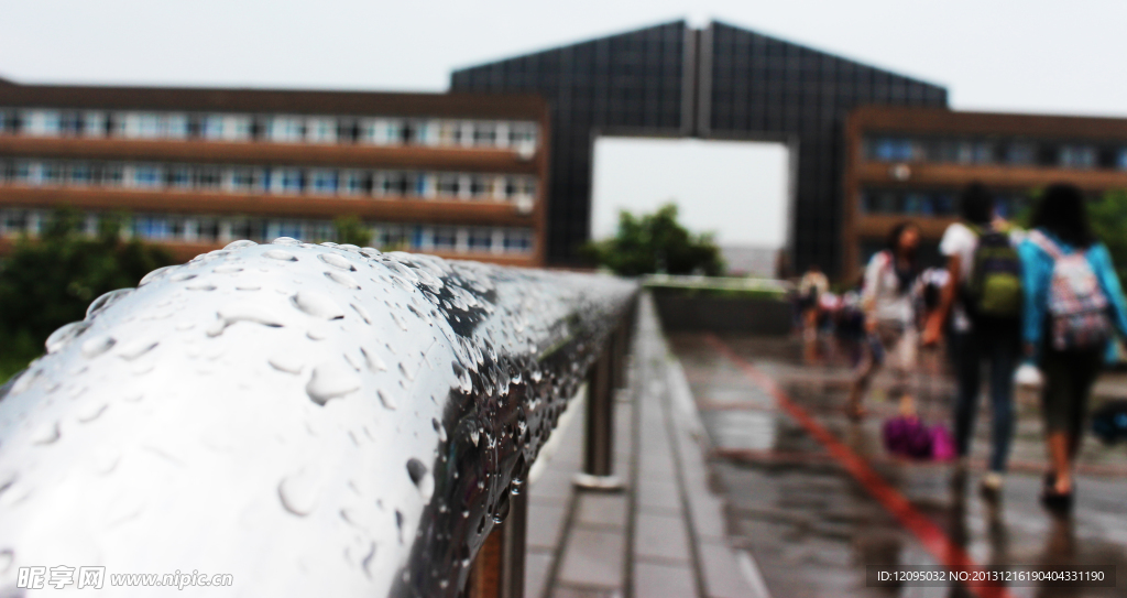 雨后宁大
