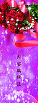 玫瑰花