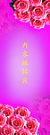 玫瑰花