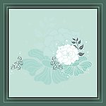 花纹