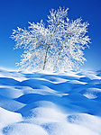 冰天雪地背景