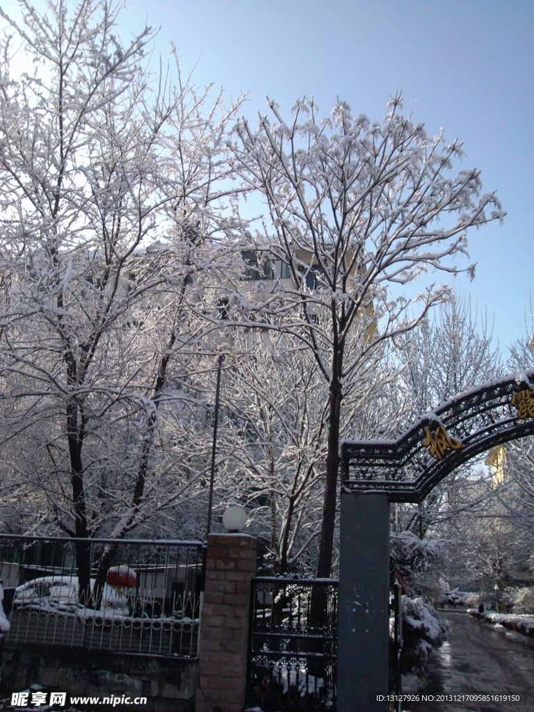 朝阳雪景