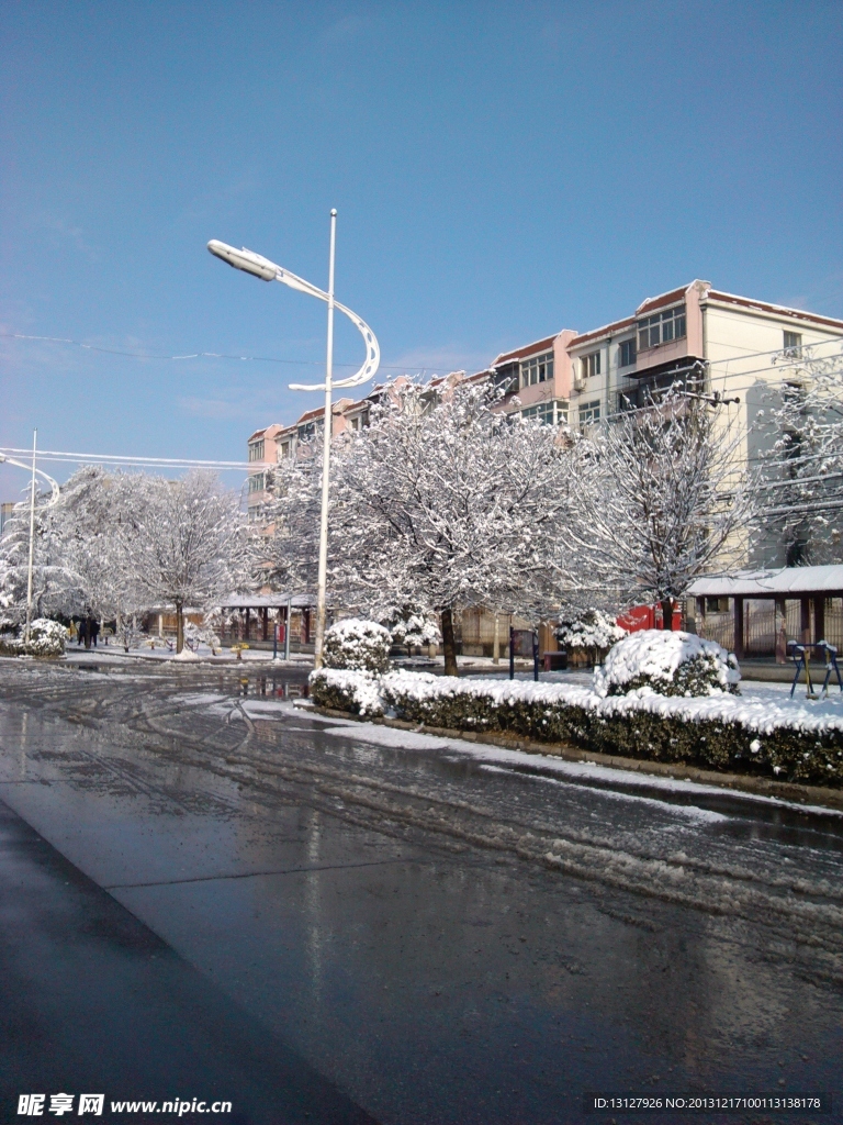 雪后景色