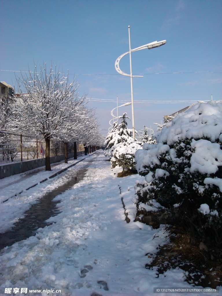 马路雪景