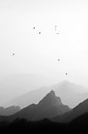 山顶