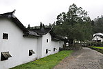 大井